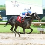 Pimlico picks and ponderings May 9, 2021