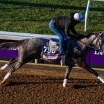 Delaware Park Handicappers’ Notebook 2021 Vol. 5