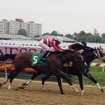 Pimlico picks and ponderings June 20, 2021