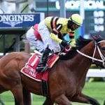 Street Lute to try turf in Stormy Blues