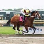 NJ whip rules remain contentious