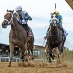 Pixelate, Street Lute mount late rallies to win