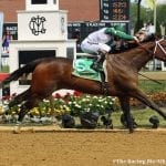 Dream Marie rallies to Obeah Stakes win