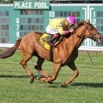 Essential Quality earns Belmont triumph