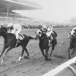Rugged field to contest Shine Again