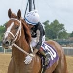 Gall Memorial “toughest” WV-bred race in years