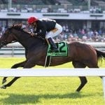 Beren dominates in Crowd Pleaser