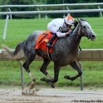 Delaware Park Handicappers’ Notebook 2022 Vol. 22