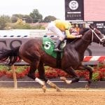 Trainer Amber Cobb summarily suspended