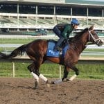 Talking Colonial, Haskell on Off to the Races Radio