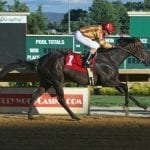 Ellanation “beyond expectations” in Jameela win