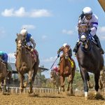 Our experts picks the MATCH Series stakes