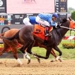 Fancy Her Up hits the ground running