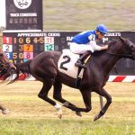 Field Pass up in time in G3 BWI Turf Cup