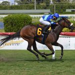 Charles Town: Nico making up for lost time