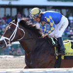 Delaware Park Handicappers’ Notebook 2021 Vol. 11