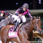 Expert picks for Breeders’ Cup Saturday