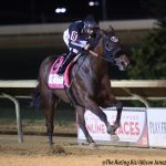 Exculpatory romps in Hilton Memorial
