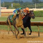 Exculpatory romps in Hilton Memorial