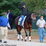 Fulsome rallies to take G3 Smarty Jones