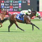 Letruska remains atop NTRA Top Thoroughbred Poll