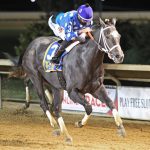 Timonium picks and ponderings August 27, 2021