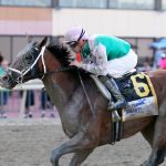 Art Collector is CT CLassic headliner