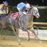 Art Collector is CT CLassic headliner