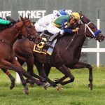Delaware Park Handicappers’ Notebook 2021 Vol. 14