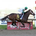 Md Horse Library joins state horse parks