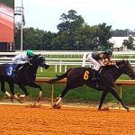 Parx picks and horses to watch: Pennsylvania Nursery S.
