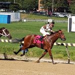 Delaware Park Handicappers’ Notebook 2021 Vol. 14