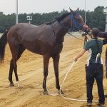 Fasig-Tipton sale aiming at happy median
