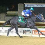 Preakness Profile: Fenwick