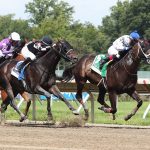 Stronach Group bars trainer Amber Cobb