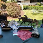 For Post Time, Polynesian could be stepping stone