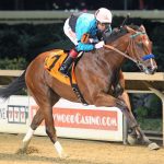 Delaware Park Handicappers’ Notebook 2021 Vol. 16
