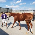 Parx picks and horses to watch: Oct. 5