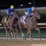 Foal crop off 3 percent from 2020