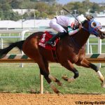 Md. Million: Hello Beautiful posts historic win