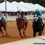 DTRC Stews revoke Amber Cobb’s license