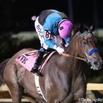 LISTEN: Off to the Races live Breeders’ Cup Saturday