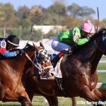 Md Million: Buff Hello rolls in Nursery
