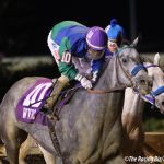 Muad’Dib proves best in WV Breeders’ Classic