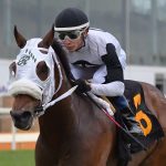 WVBC: Big night for broodmare Miss Henny Penny