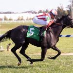 Ready to Purrform punches Breeders’ Cup ticket