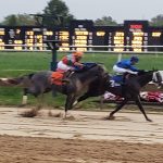 Delaware Park picks and horses to watch: October 12