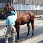 VIDEO: Who are the best Maryland-bred 2yos?