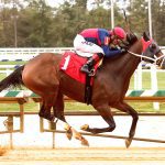 Pimlico to host two 2022 meets