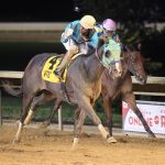 Top Midlantic-bred Poll: 5 pointed to Breeders’ Cup